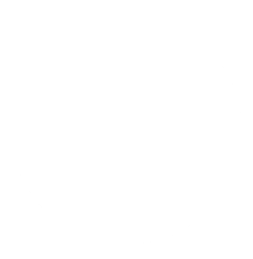 安全交易担保的网络攻击软件
